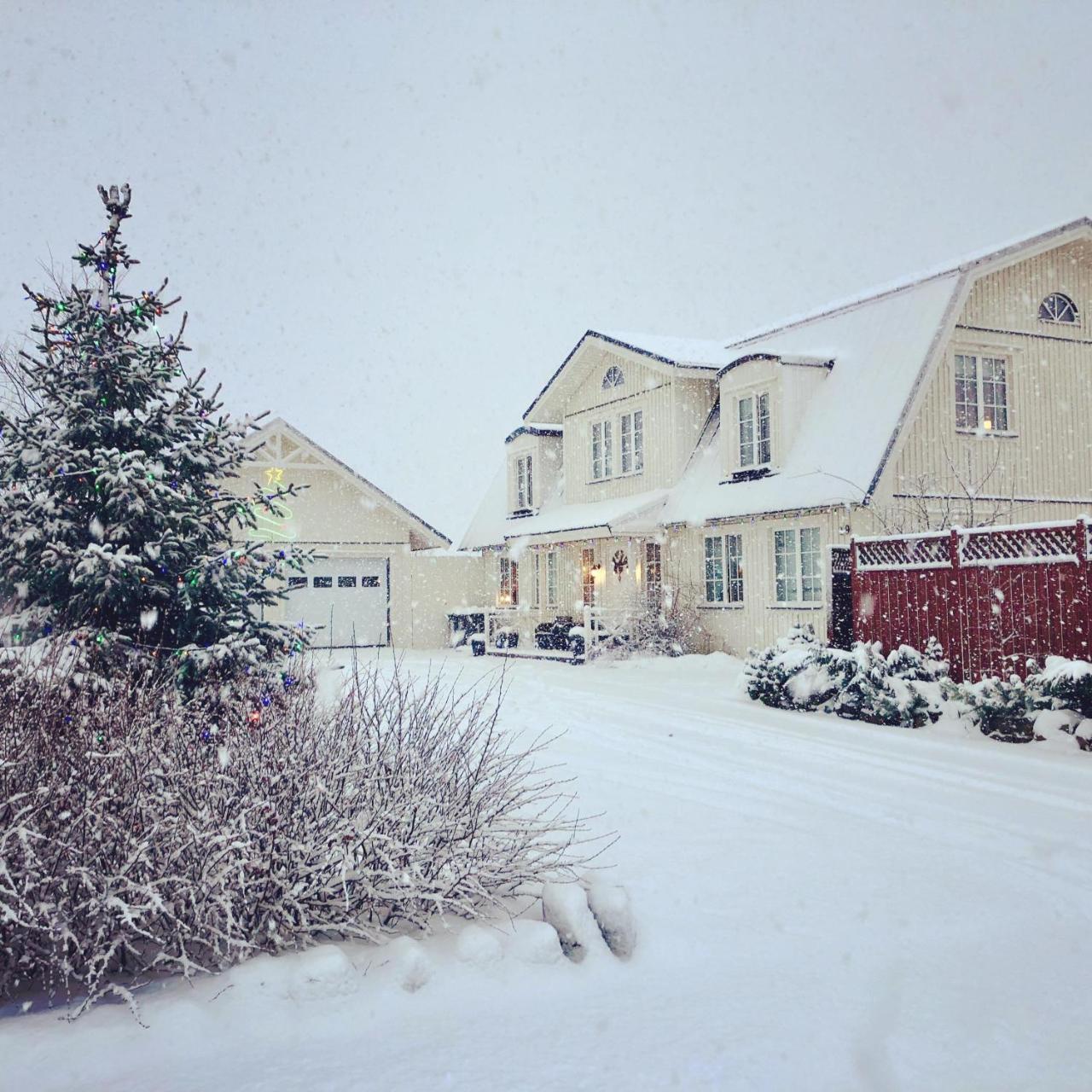 The White House Villa Reykholt  Exterior photo